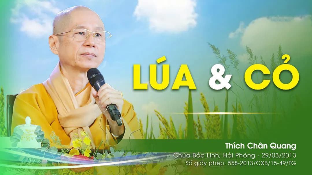 Lúa Và Cỏ