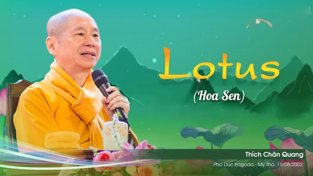 Ý Nghĩa Hoa Sen A